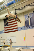 2015 PIAA District 1 Boys Diving
